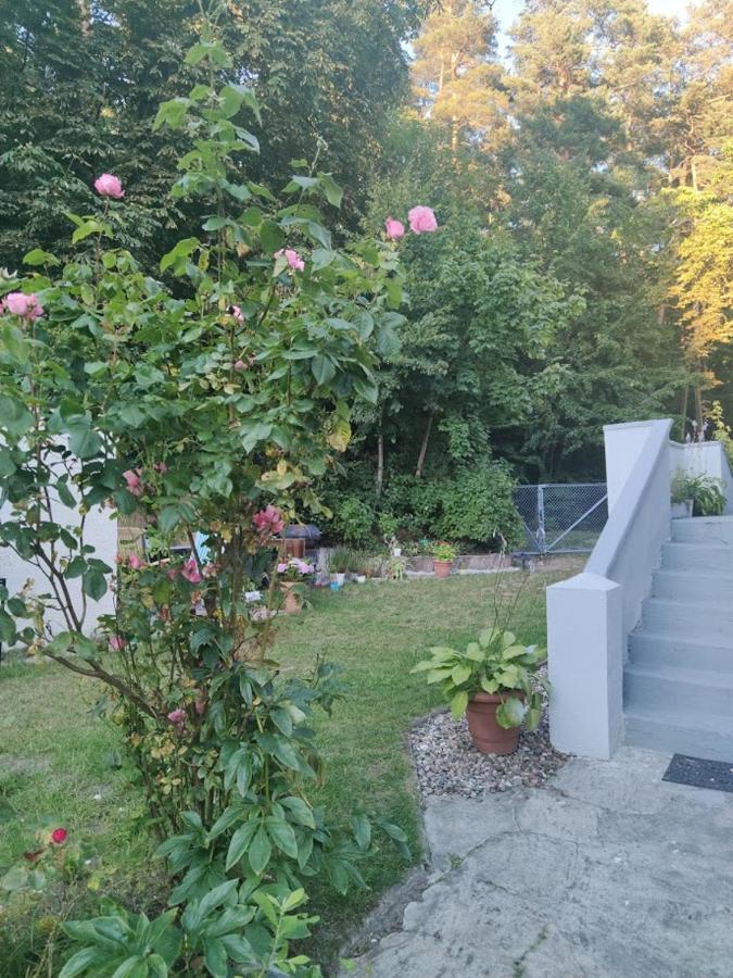 Apartament W Sasiedztwie Lasu 1800M Od Morza سوبوت المظهر الخارجي الصورة